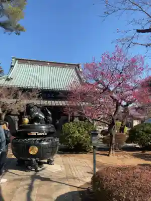 豪徳寺(東京都)