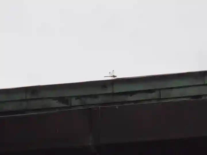 鎧神社(東京都)