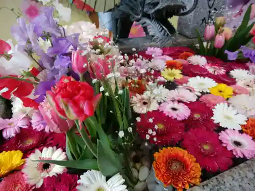 札幌諏訪神社の手水舎