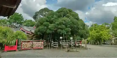市原稲荷神社のその他建物