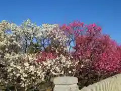 曽根天満宮(兵庫県)