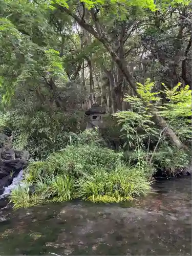 富士山本宮浅間大社(静岡県)