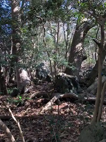 出雲大神宮の自然