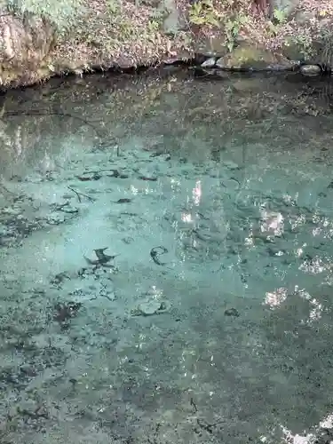 泉神社(茨城県)