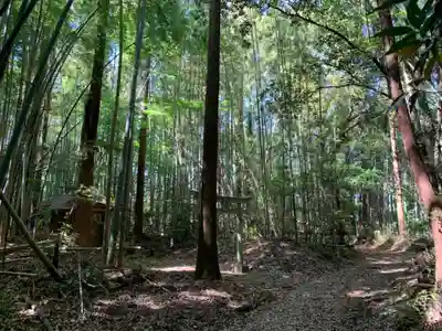 八坂神社(千葉県)