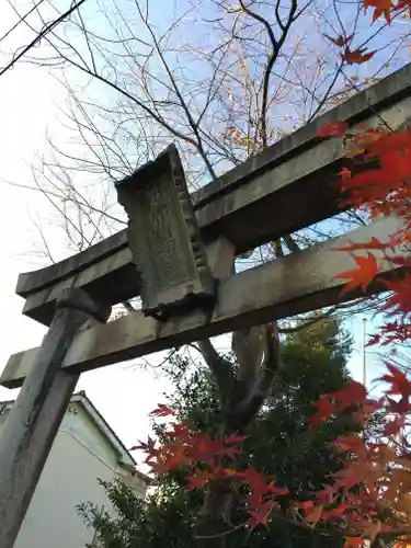 簸川神社の鳥居