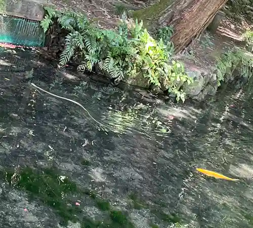涌釜神社(栃木県)