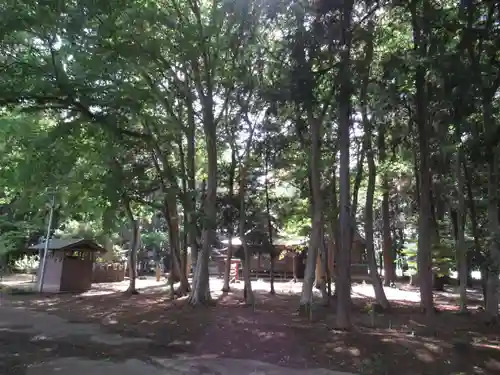 東蕗田天満社(茨城県)