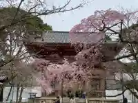 醍醐寺の山門・神門