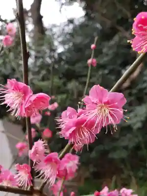 乃木神社(東京都)