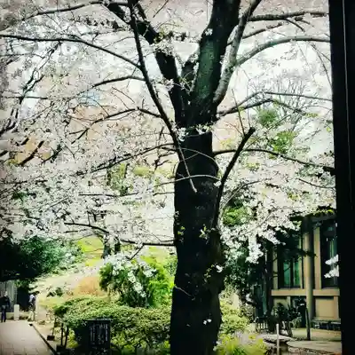 湯島聖堂のその他建物