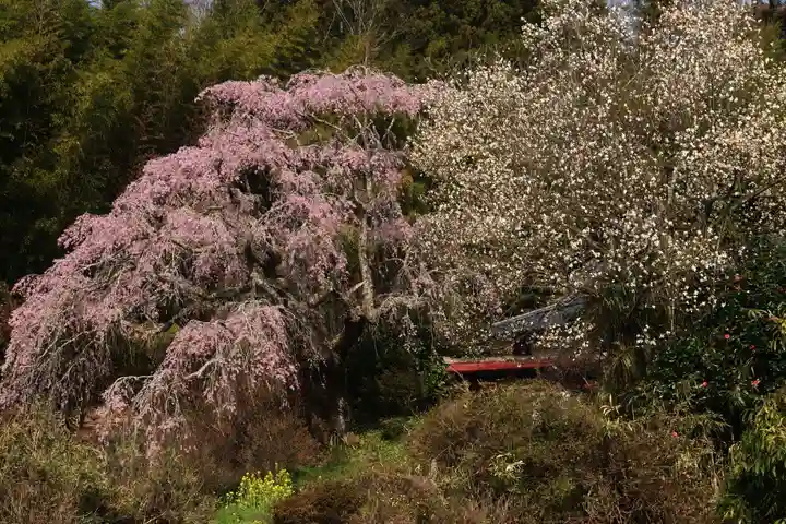 瑞雲寺(福島県)