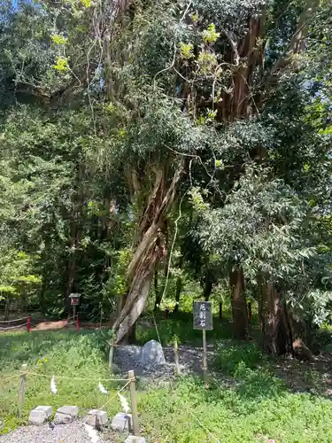 伊佐須美神社(福島県)