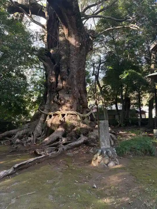 川津来宮神社の{uncategorized: "未分類", other: "その他", undefined: "問題あり", building: "その他建物", grave: "お墓", sacred_gate: "鳥居", guardian: "狛犬", statue: "像", buddha: "仏像", history: "歴史", nature: "自然", garden: "庭園", animal: "動物", pagoda: "塔", temizu: "手水舎", mountain_gate: "山門・神門", sanctuary: "本殿・本堂", subordinate: "末社・摂社", art: "芸術", scenery: "景色", jizo: "地蔵", ema: "絵馬", goshuin: "御朱印", omikuji: "おみくじ", items: "授与品その他", amulet: "お守り", goshuincho: "御朱印帳", eats: "食事", festival: "お祭り", votive_dance: "神楽", shichigosan: "七五三参", wedding: "結婚式", experience: "体験その他", initially: "初詣", around: "周辺", anti_infection: "感染症対策"}