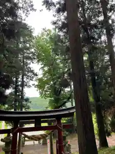 大宮温泉神社(栃木県)(2023年05月31日(水) 06時30分35秒投稿)