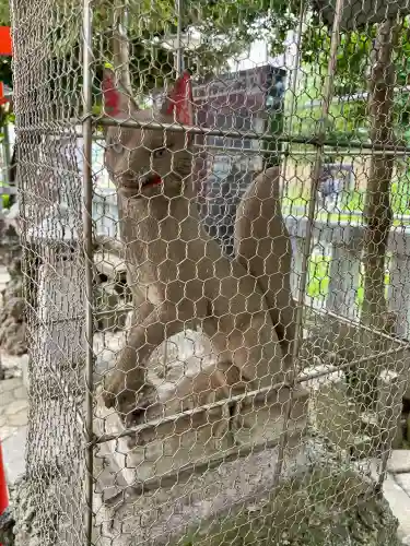 千種稲荷神社の狛犬