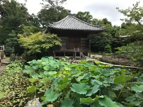 高山寺の神楽