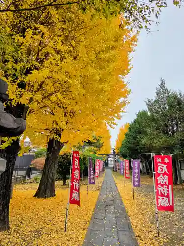幸宮神社(埼玉県)