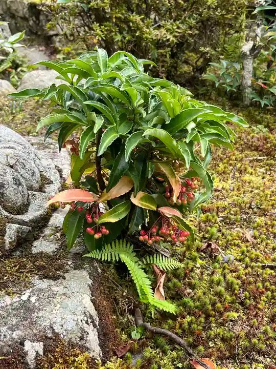 大原寺勝林院(京都府)