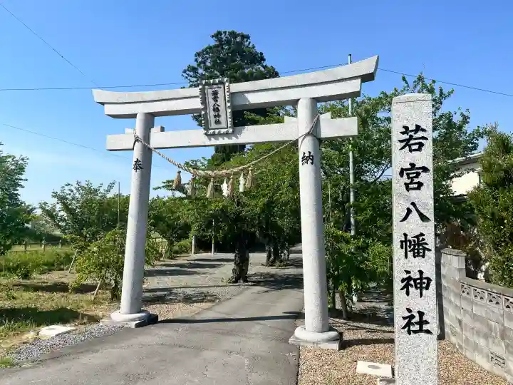 若宮八幡神社の{uncategorized: "未分類", other: "その他", undefined: "問題あり", building: "その他建物", grave: "お墓", sacred_gate: "鳥居", guardian: "狛犬", statue: "像", buddha: "仏像", history: "歴史", nature: "自然", garden: "庭園", animal: "動物", pagoda: "塔", temizu: "手水舎", mountain_gate: "山門・神門", sanctuary: "本殿・本堂", subordinate: "末社・摂社", art: "芸術", scenery: "景色", jizo: "地蔵", ema: "絵馬", goshuin: "御朱印", omikuji: "おみくじ", items: "授与品その他", amulet: "お守り", goshuincho: "御朱印帳", eats: "食事", festival: "お祭り", votive_dance: "神楽", shichigosan: "七五三参", wedding: "結婚式", experience: "体験その他", initially: "初詣", around: "周辺", anti_infection: "感染症対策"}