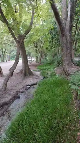 賀茂御祖神社（下鴨神社）の自然