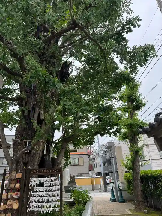 飛木稲荷神社(東京都)