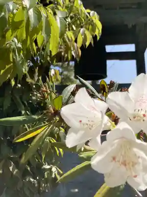 横蔵寺(兵庫県)