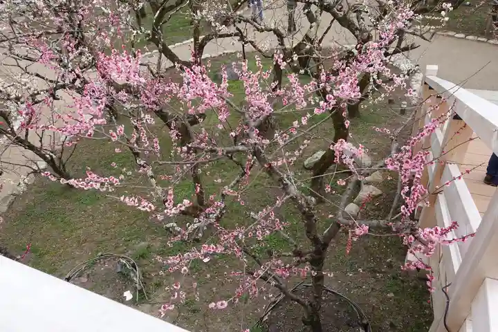 北野天満宮の庭園