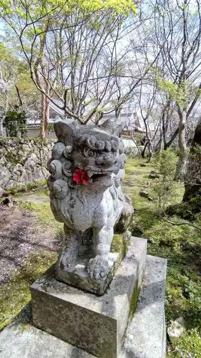 勝持寺(花の寺)の狛犬