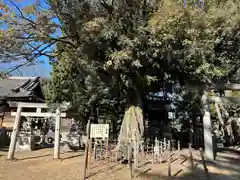 本刈谷神社(愛知県)