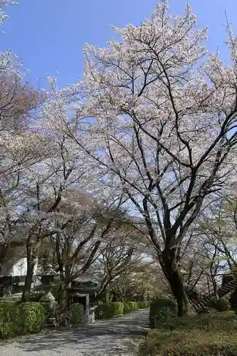 西教寺(滋賀県)