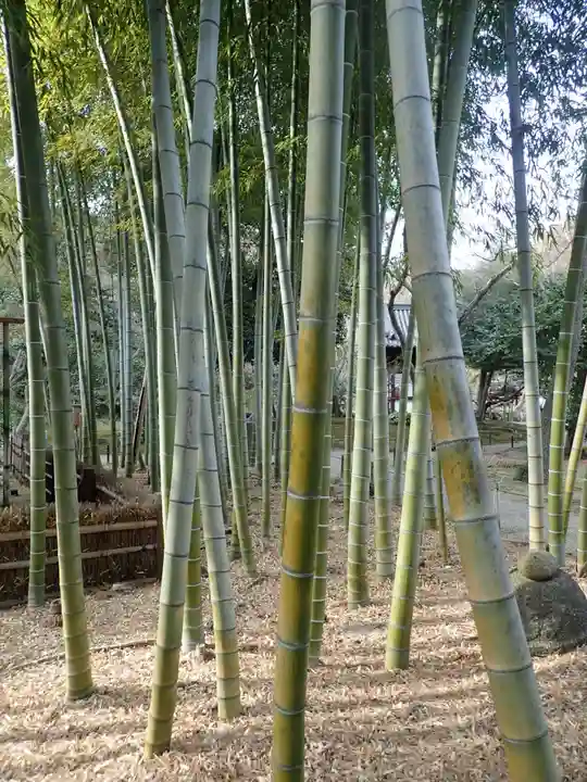 本牧神社(神奈川県)