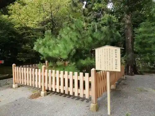 伊豆山神社の自然