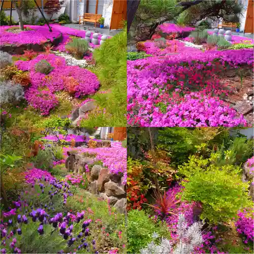 寿量山　速成寺(奈良県)