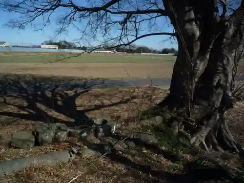 神明神社の自然