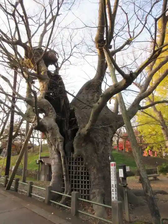 金峯神社のその他建物