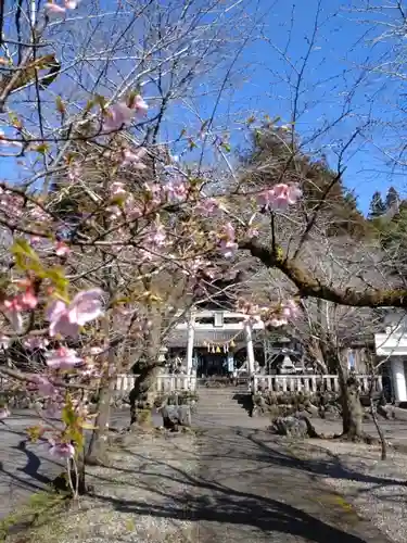天鷹神社(岐阜県)