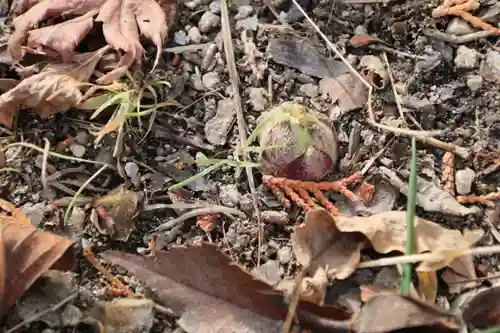 滑川神社 - 仕事と子どもの守り神の自然