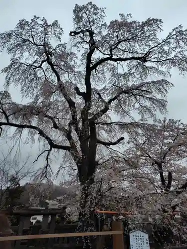 妙徳寺(福島県)