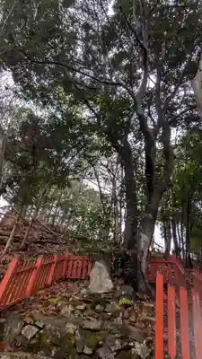 安行山 磐榮稲荷宮(京都府)
