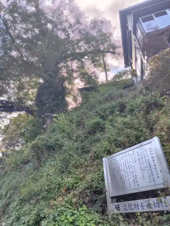武蔵御嶽神社(東京都)