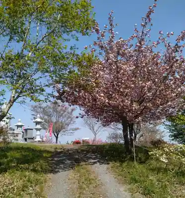 妙立寺(宮城県)