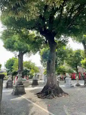 町田天満宮(東京都)