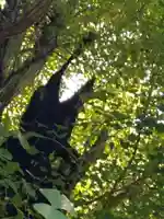 飛木稲荷神社(東京都)
