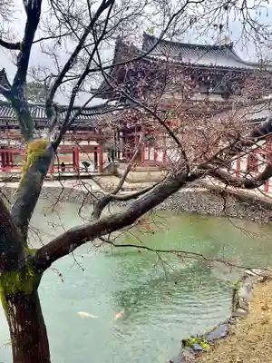 平等院(京都府)