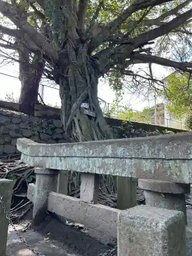 腹五社神社の{uncategorized: "未分類", other: "その他", undefined: "問題あり", building: "その他建物", grave: "お墓", sacred_gate: "鳥居", guardian: "狛犬", statue: "像", buddha: "仏像", history: "歴史", nature: "自然", garden: "庭園", animal: "動物", pagoda: "塔", temizu: "手水舎", mountain_gate: "山門・神門", sanctuary: "本殿・本堂", subordinate: "末社・摂社", art: "芸術", scenery: "景色", jizo: "地蔵", ema: "絵馬", goshuin: "御朱印", omikuji: "おみくじ", items: "授与品その他", amulet: "お守り", goshuincho: "御朱印帳", eats: "食事", festival: "お祭り", votive_dance: "神楽", shichigosan: "七五三参", wedding: "結婚式", experience: "体験その他", initially: "初詣", around: "周辺", anti_infection: "感染症対策"}
