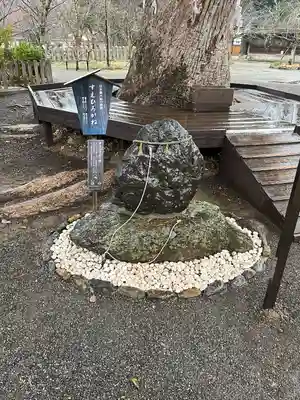 平野神社(京都府)