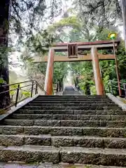 伊豆山神社(静岡県)