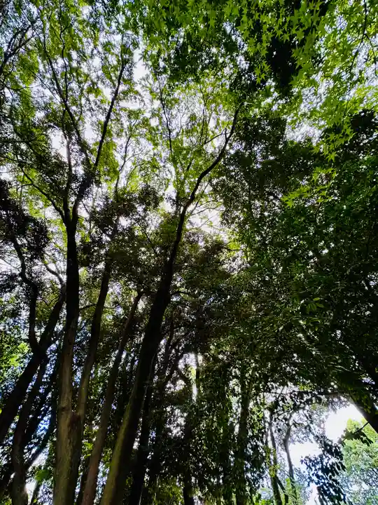 賀茂別雷神社(上賀茂神社)(京都府)