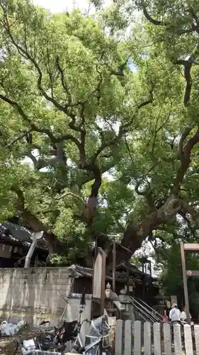 三島神社(大阪府)
